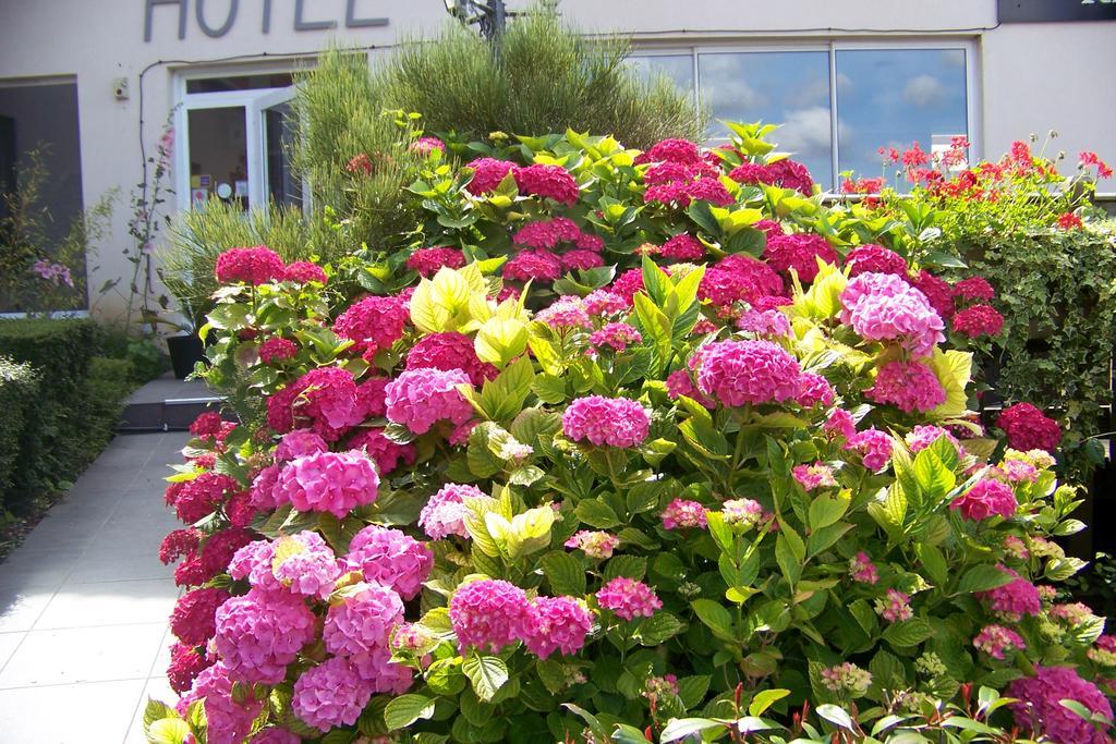 Hotel Bal Tournehem Ngoại thất bức ảnh